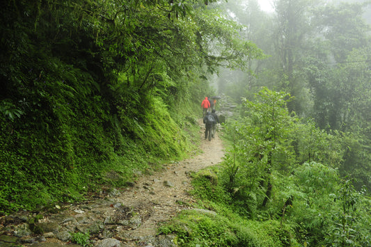 Exploring Wildlife During Monsoon Treks with Clawear Clothes